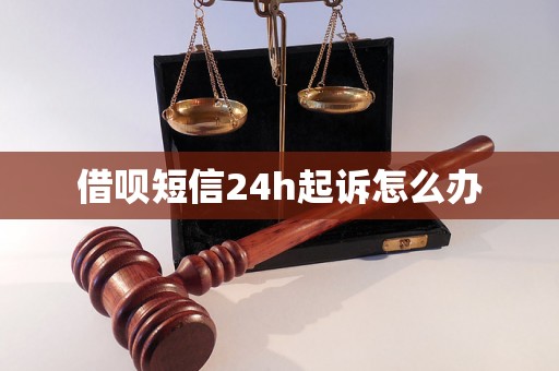 借呗短信24h起诉怎么办