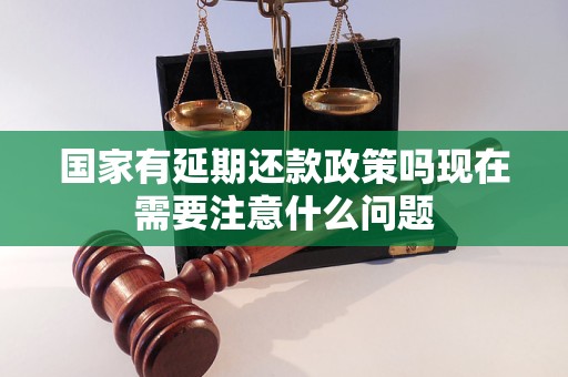 国家有延期还款政策吗现在需要注意什么问题