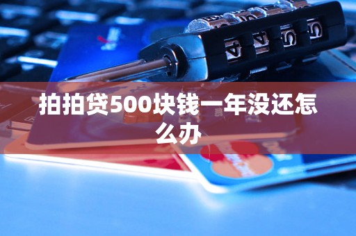 拍拍贷500块钱一年没还怎么办