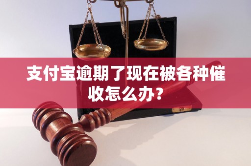 支付宝逾期了现在被各种催收怎么办？