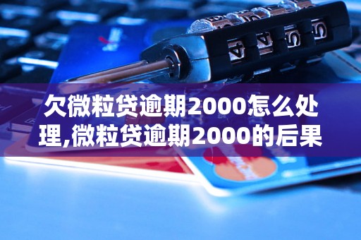 欠微粒贷逾期2000怎么处理,微粒贷逾期2000的后果及解决办法