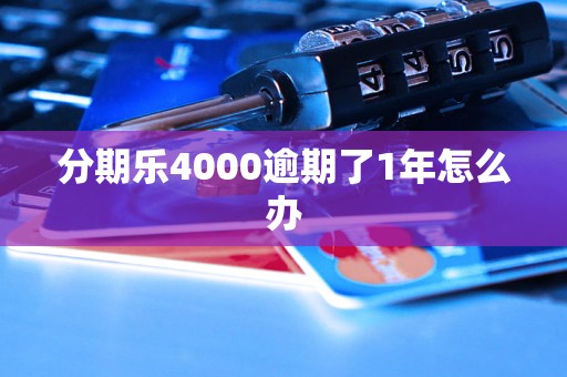 分期乐4000逾期了1年怎么办