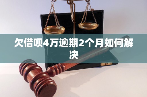 欠借呗4万逾期2个月如何解决