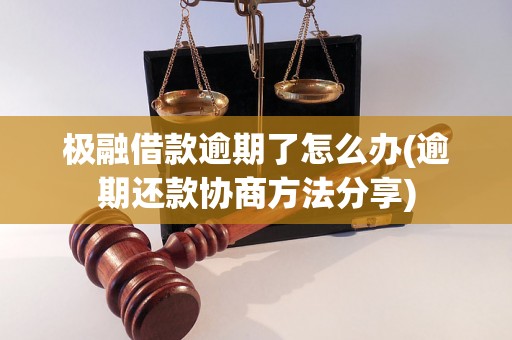 极融借款逾期了怎么办(逾期还款协商方法分享)