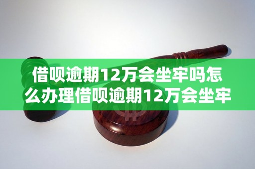 借呗逾期12万会坐牢吗怎么办理借呗逾期12万会坐牢吗怎么办理