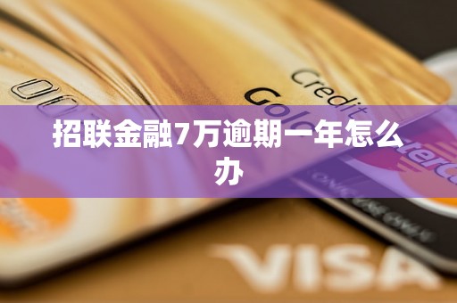 招联金融7万逾期一年怎么办