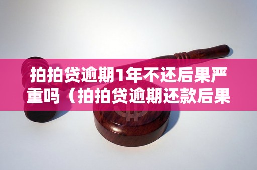 拍拍贷逾期1年不还后果严重吗（拍拍贷逾期还款后果详解）