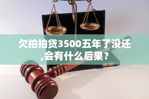 欠拍拍贷3500五年了没还,会有什么后果？