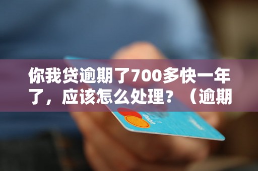 你我贷逾期了700多快一年了，应该怎么处理？（逾期借款后果及解决方法）