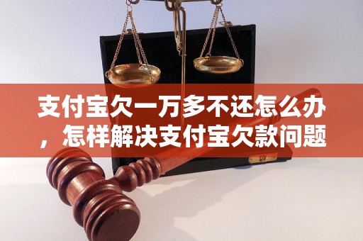 支付宝欠一万多不还怎么办，怎样解决支付宝欠款问题