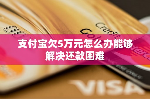 支付宝欠5万元怎么办能够解决还款困难