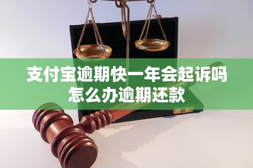 支付宝逾期快一年会起诉吗怎么办逾期还款