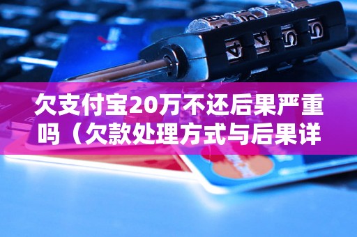 欠支付宝20万不还后果严重吗（欠款处理方式与后果详解）