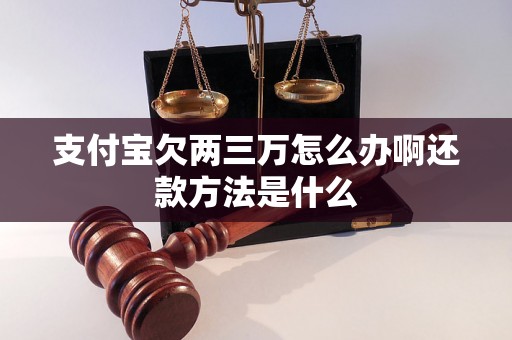 支付宝欠两三万怎么办啊还款方法是什么