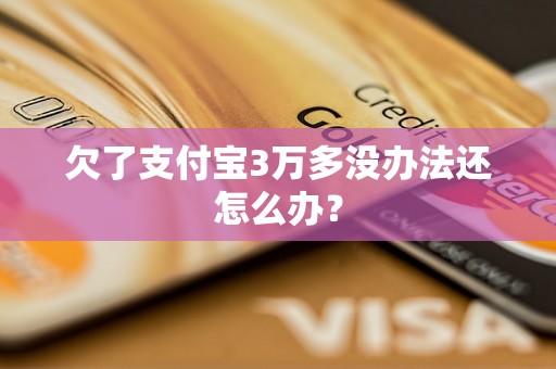 欠了支付宝3万多没办法还怎么办？