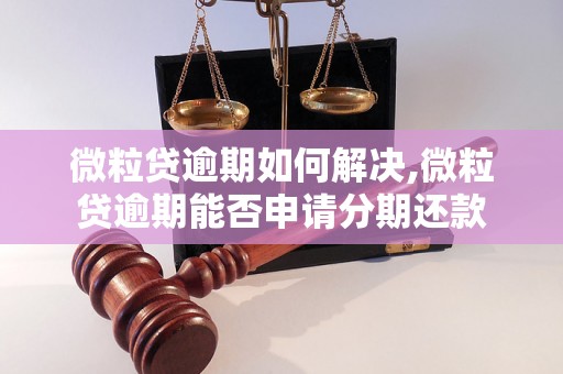 微粒贷逾期如何解决,微粒贷逾期能否申请分期还款