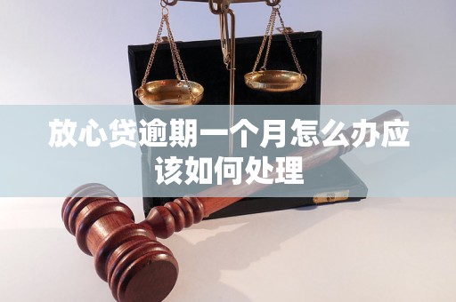 放心贷逾期一个月怎么办应该如何处理