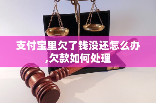 支付宝里欠了钱没还怎么办,欠款如何处理