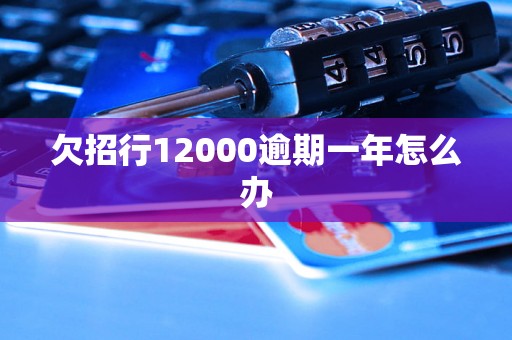 欠招行12000逾期一年怎么办