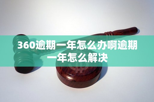 360逾期一年怎么办啊逾期一年怎么解决