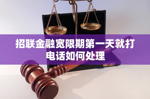 招联金融宽限期第一天就打电话如何处理