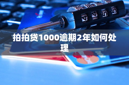 拍拍贷1000逾期2年如何处理