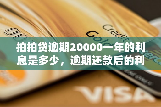 拍拍贷逾期20000一年的利息是多少，逾期还款后的利息计算方法