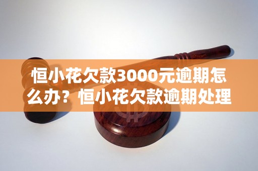 恒小花欠款3000元逾期怎么办？恒小花欠款逾期处理方法