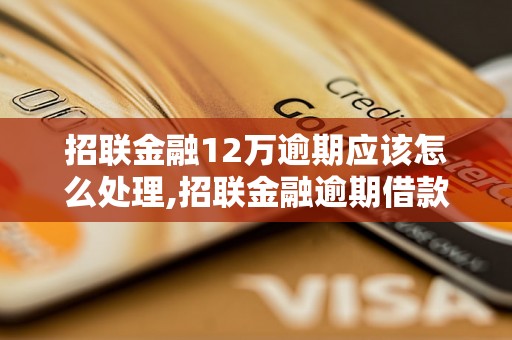 招联金融12万逾期应该怎么处理,招联金融逾期借款后果