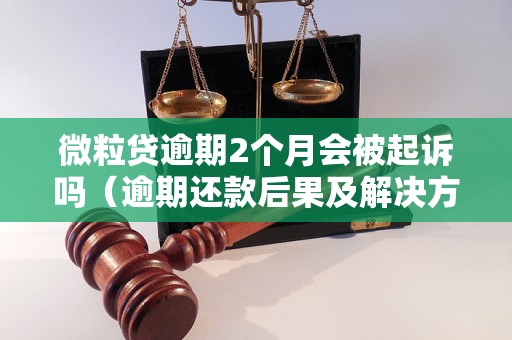 微粒贷逾期2个月会被起诉吗（逾期还款后果及解决方法）