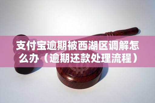 支付宝逾期被西湖区调解怎么办（逾期还款处理流程）