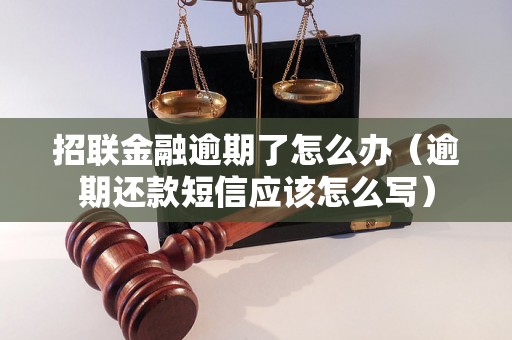 招联金融逾期了怎么办（逾期还款短信应该怎么写）