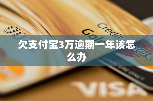 欠支付宝3万逾期一年该怎么办