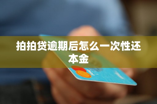 拍拍贷逾期后怎么一次性还本金