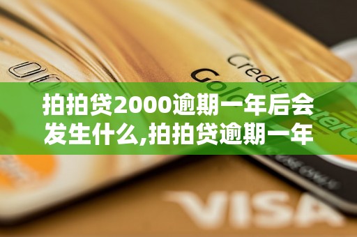 拍拍贷2000逾期一年后会发生什么,拍拍贷逾期一年的后果