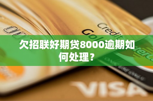 欠招联好期贷8000逾期如何处理？