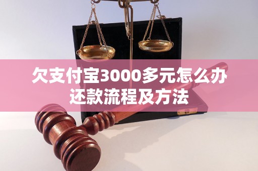 欠支付宝3000多元怎么办还款流程及方法