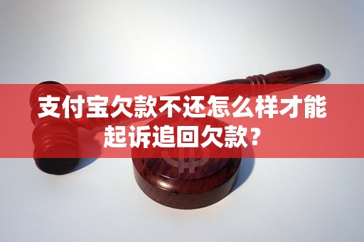 支付宝欠款不还怎么样才能起诉追回欠款？