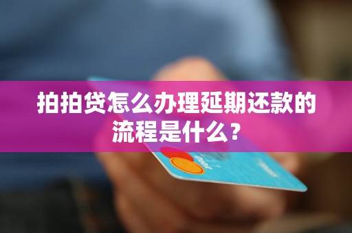 拍拍贷怎么办理延期还款的流程是什么？