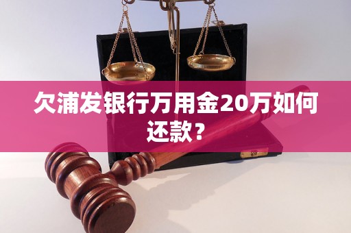 欠浦发银行万用金20万如何还款？