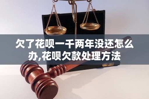 欠了花呗一千两年没还怎么办,花呗欠款处理方法