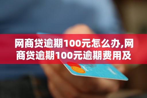 网商贷逾期100元怎么办,网商贷逾期100元逾期费用及处理方法