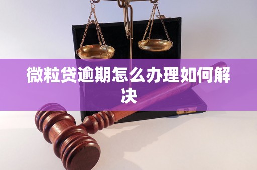 微粒贷逾期怎么办理如何解决