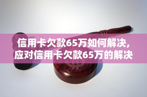 信用卡欠款65万如何解决,应对信用卡欠款65万的解决办法