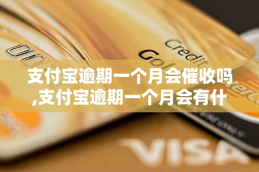 支付宝逾期一个月会催收吗,支付宝逾期一个月会有什么后果