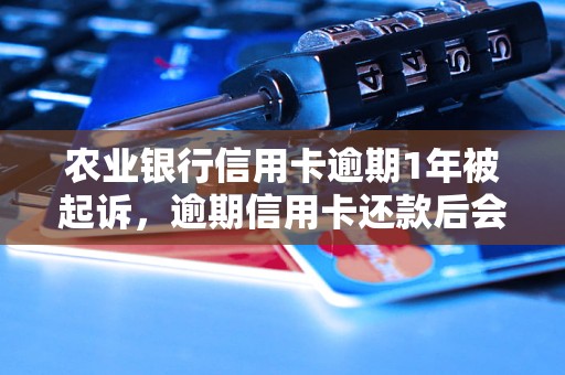 农业银行信用卡逾期1年被起诉，逾期信用卡还款后会怎样