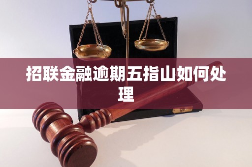 招联金融逾期五指山如何处理