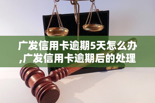 广发信用卡逾期5天怎么办,广发信用卡逾期后的处理措施