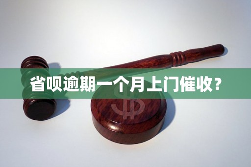 省呗逾期一个月上门催收？