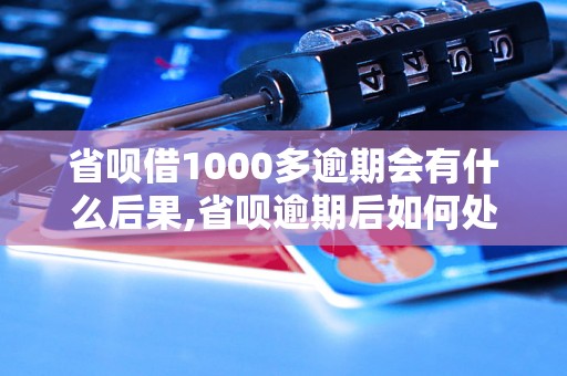 省呗借1000多逾期会有什么后果,省呗逾期后如何处理